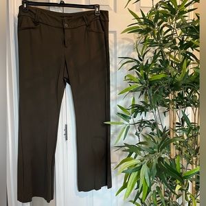 NWOT Torrid Studio Ponte Trouser - Short